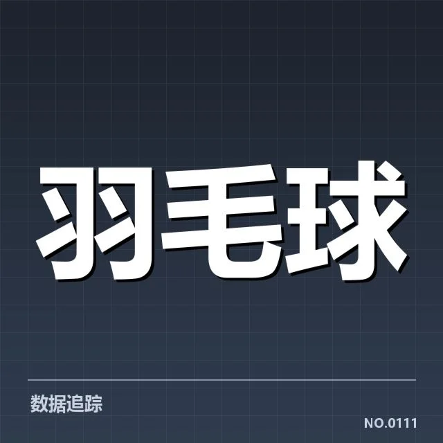 青少年羽毛球锦标赛：参赛选手实力差距